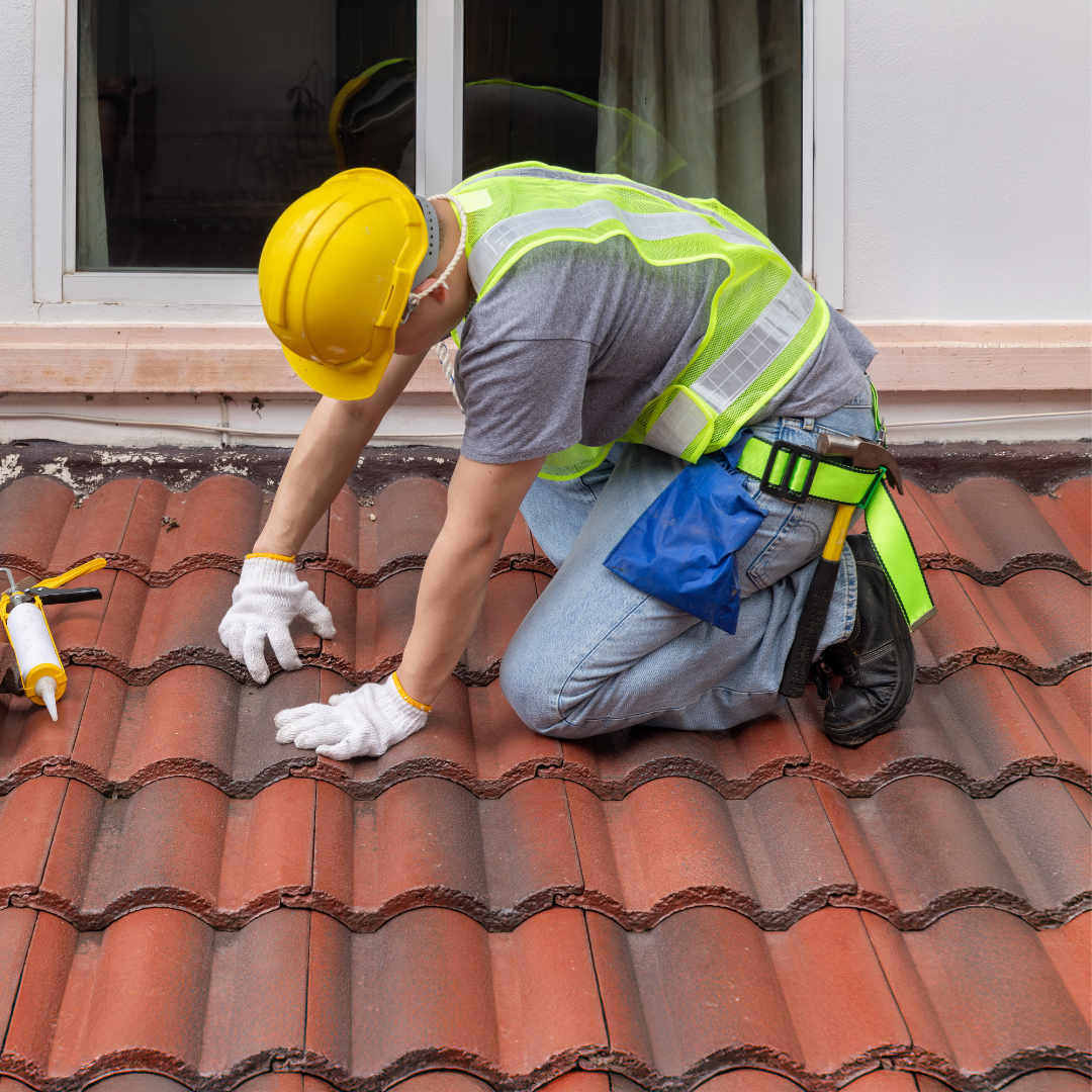 Roof maintenance