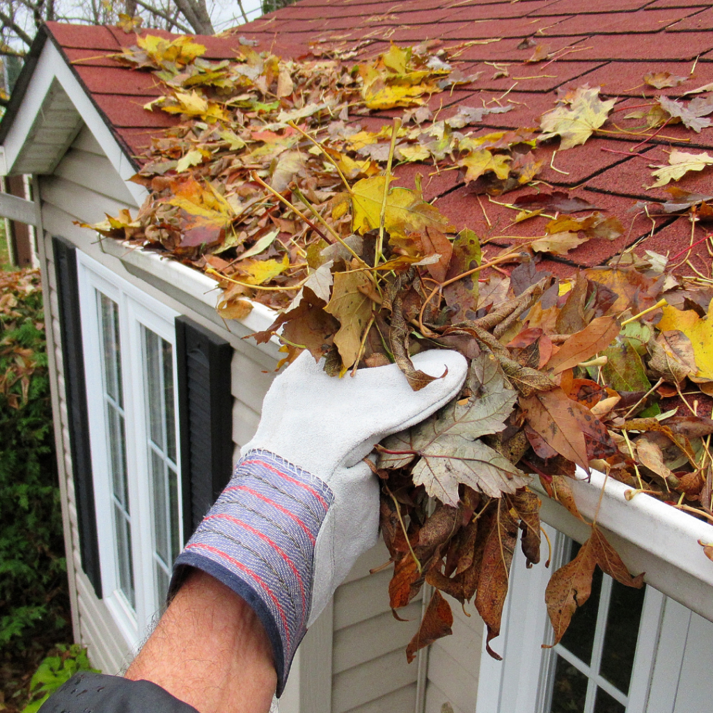 Roof maintenance