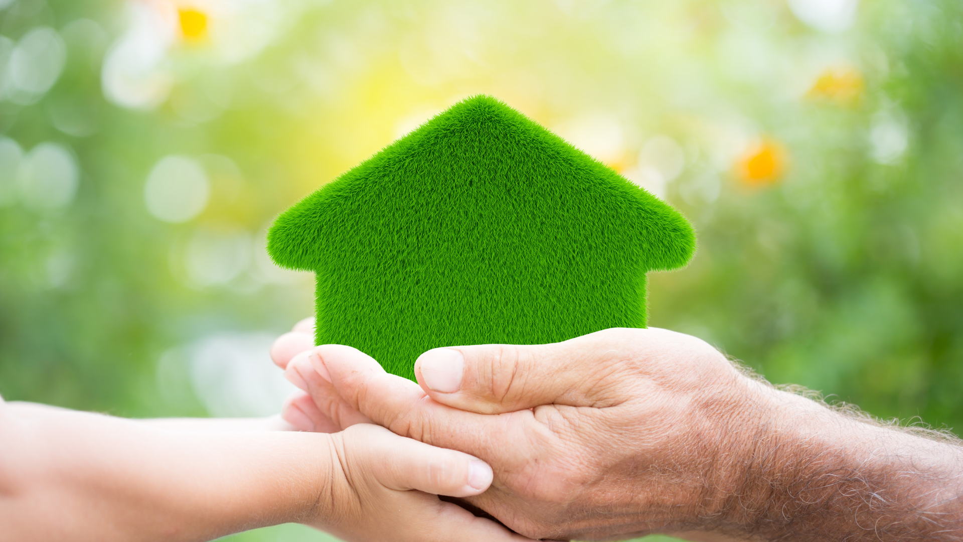 Green Eco-Friendly Roofing