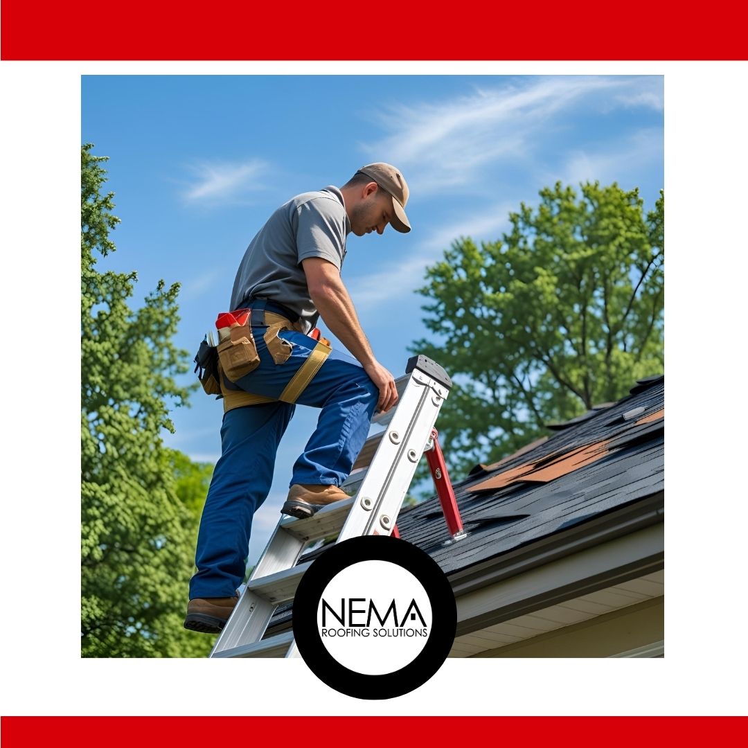 Roof inspection